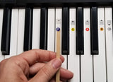 Color Piano Keyboard Stickers for 49 / 61 / 76 / 88 Keys