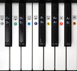 Color Piano Keyboard Stickers for 49 / 61 / 76 / 88 Keys