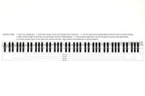 Color Piano Keyboard Stickers for 49 / 61 / 76 / 88 Keys